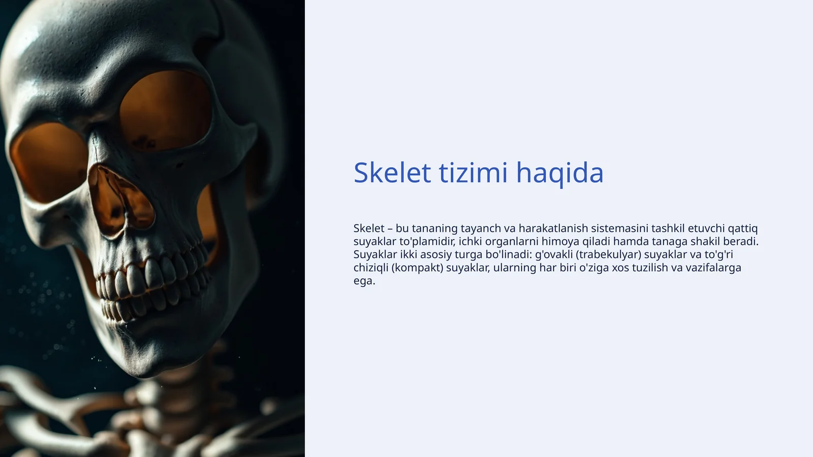 Skelet tizimi haqida