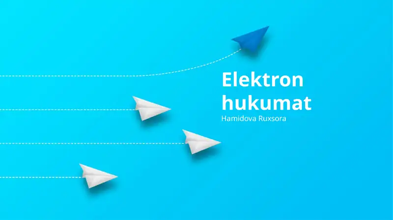 Elektron hukumat