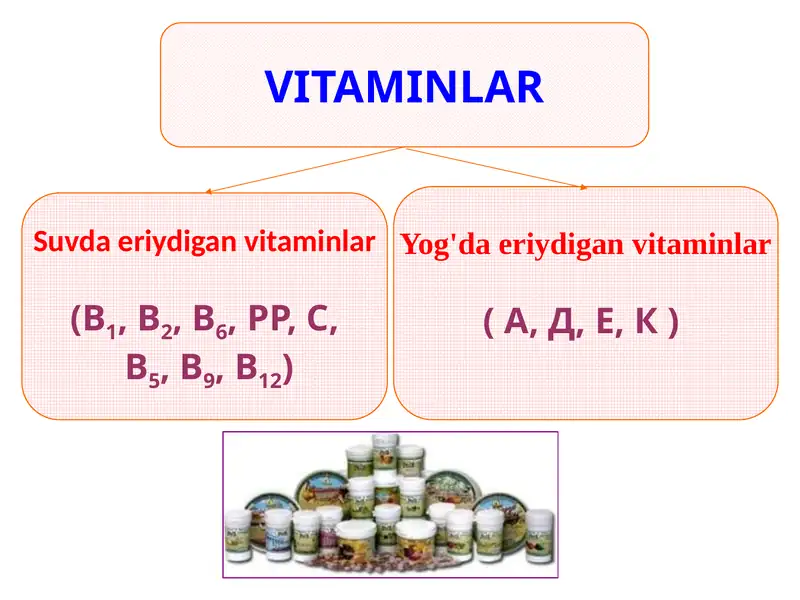 Vitaminlar