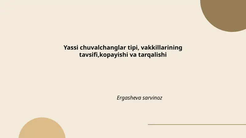 Yassi chuvalchanglar