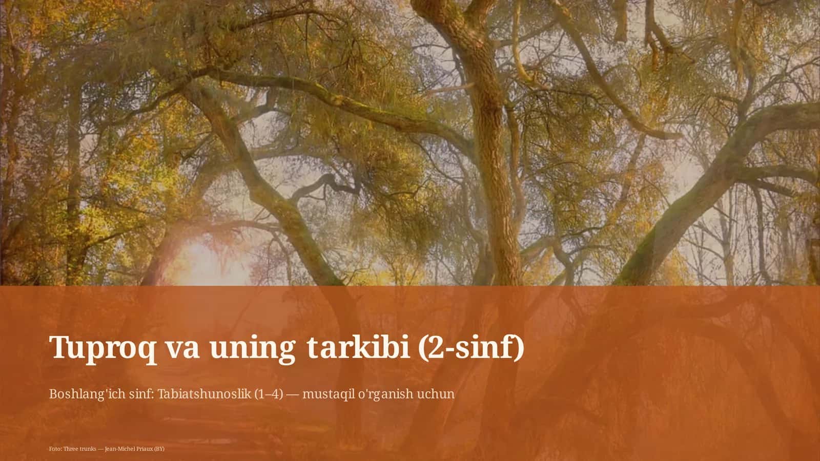 Tuproq va uning tarkibi (2-sinf)