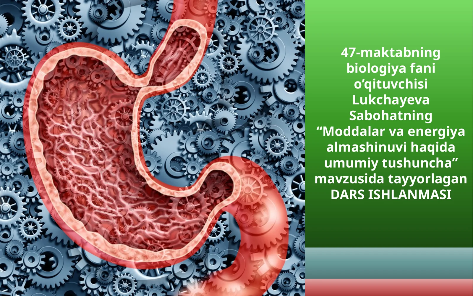 8-sinf Biologiya fanidan Moddalar energiya almashinuvi dars ishlanma