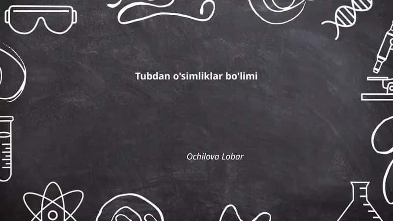 Tubdan o'simliklar bo'limi