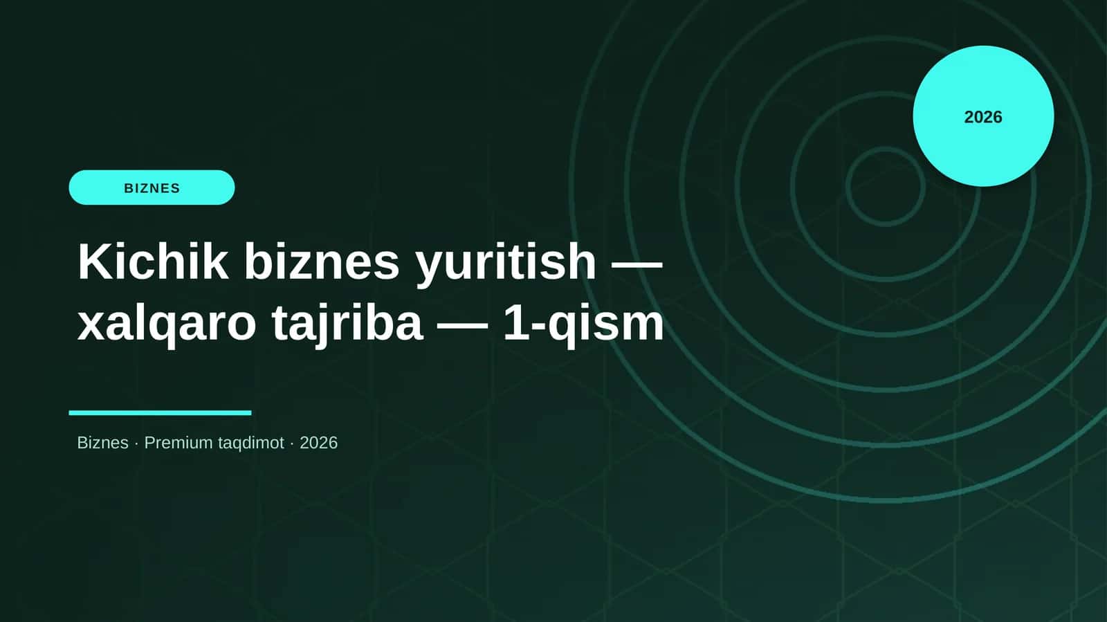 Kichik biznes yuritish — xalqaro tajriba — 1-qism
