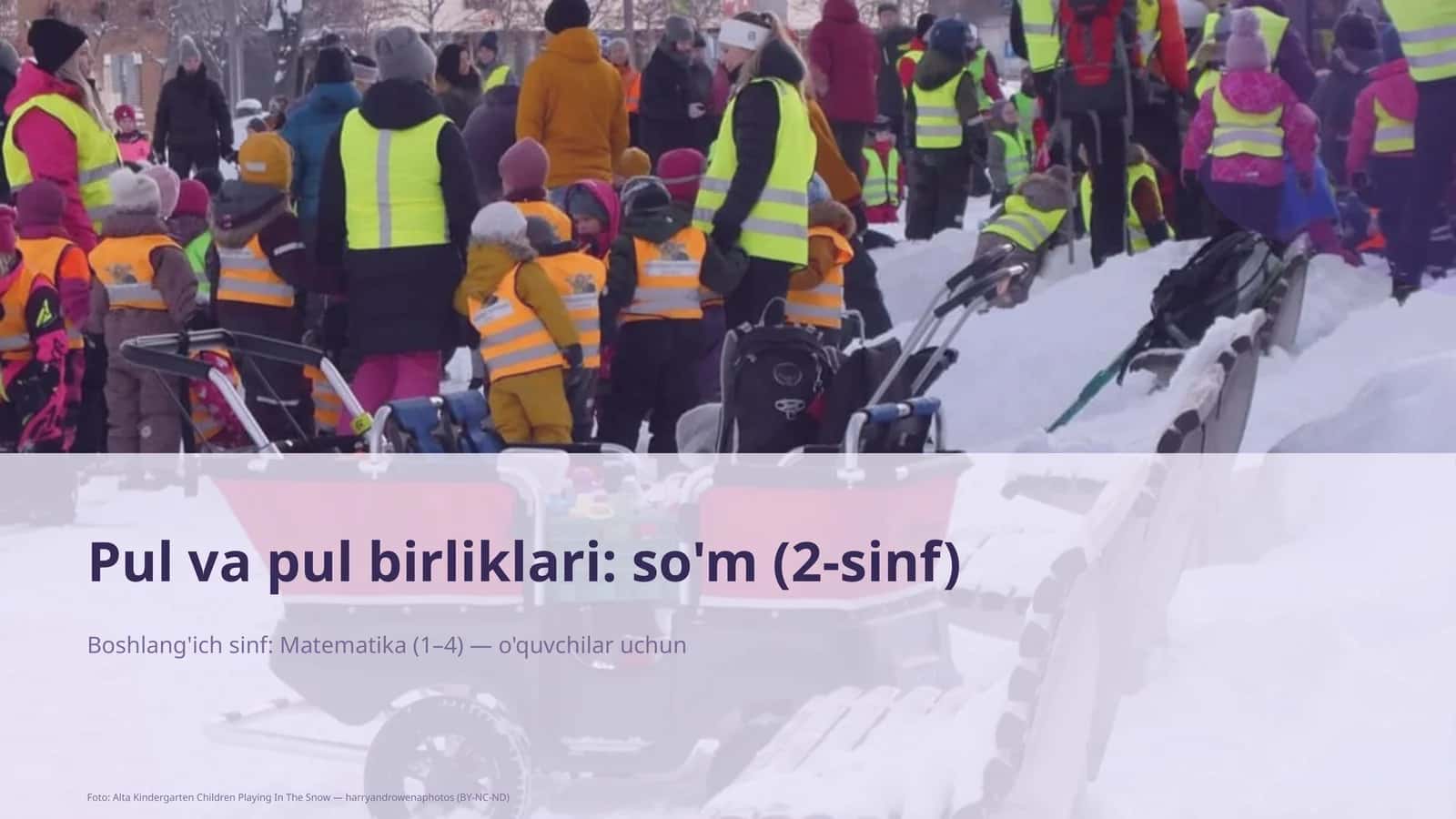 Pul va pul birliklari: so'm (2-sinf)