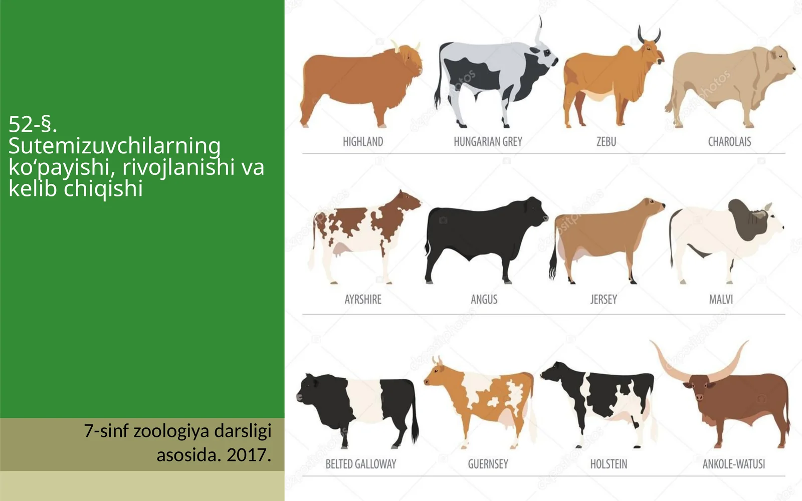7-sinf Zoologiya 'Sutemizuvchilarning ko'payishi, rivojlanishi va kelib chiqishi' ko'rgazma