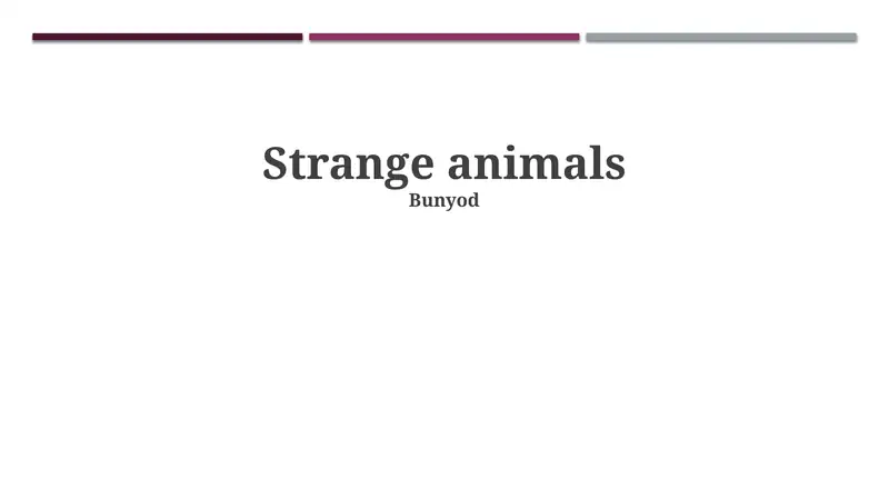 Strange animals