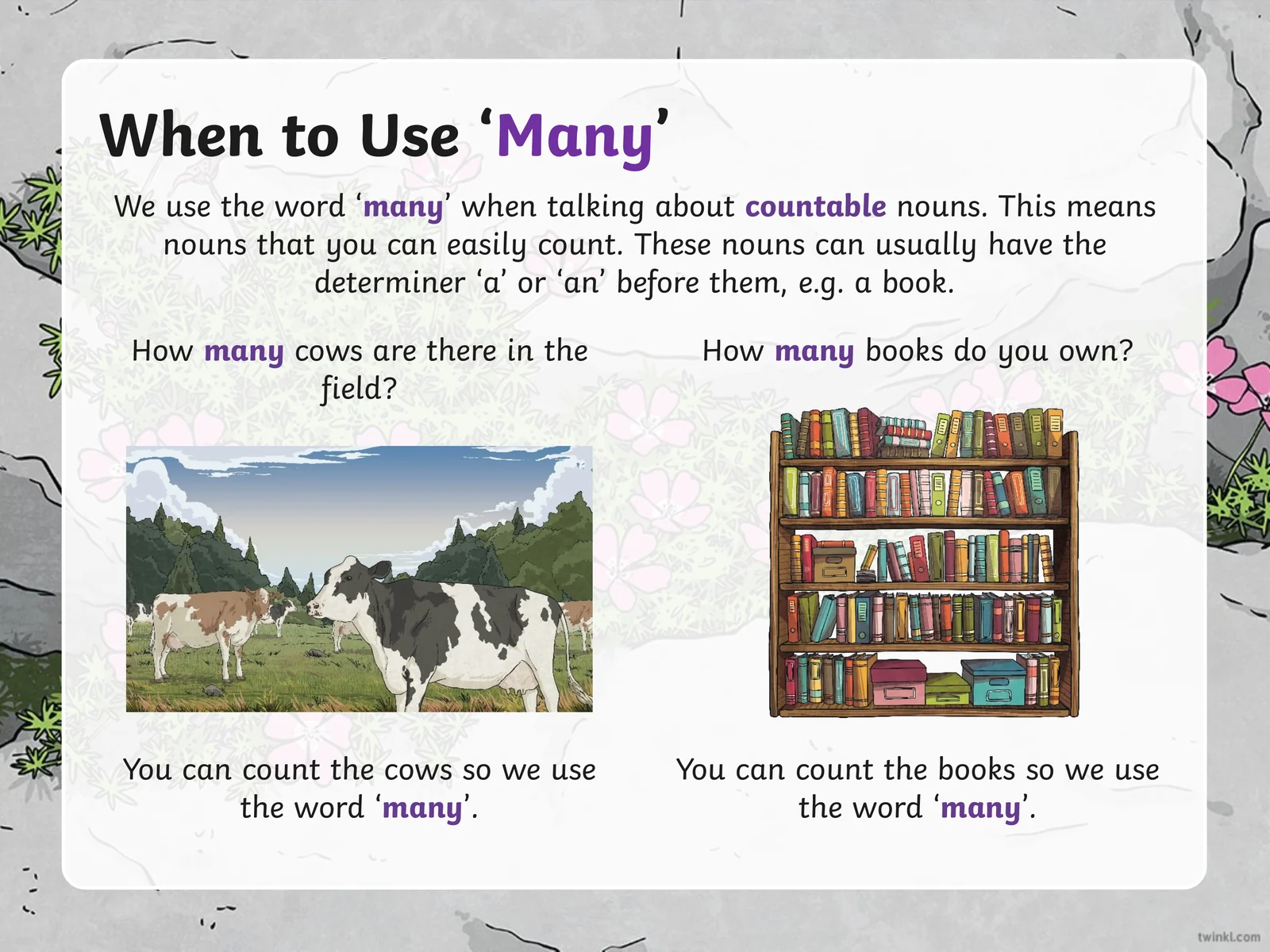 Using 'Many' and 'Much' in English Grammar