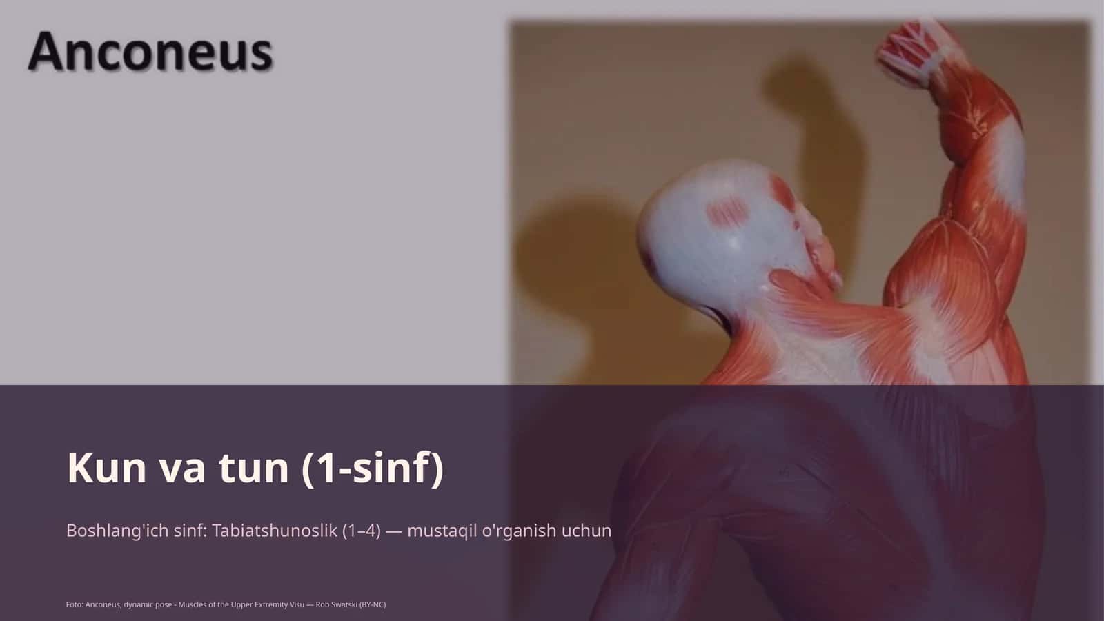 Kun va tun (1-sinf)