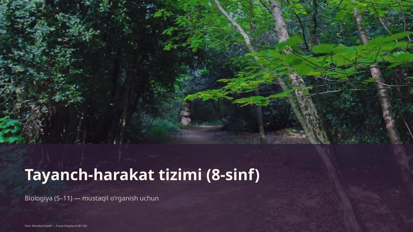 Tayanch-harakat tizimi (8-sinf)