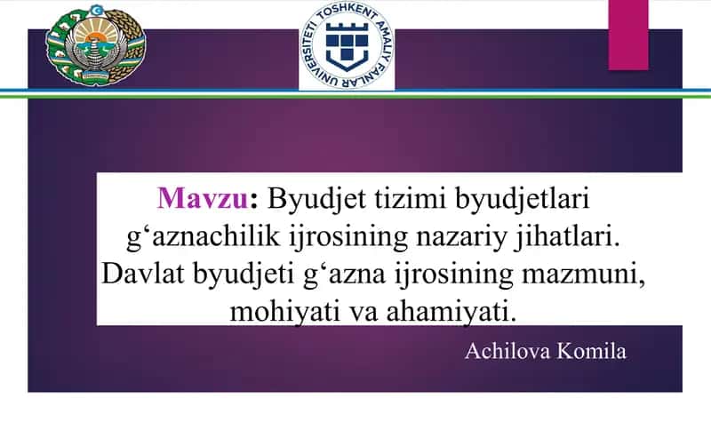 Byudjet tizimi byudjetlari g‘aznachilik ijrosining nazariy jihatlari. Davlat byudjeti g‘azna ijrosining mazmuni, mohiyati va ahamiyati.