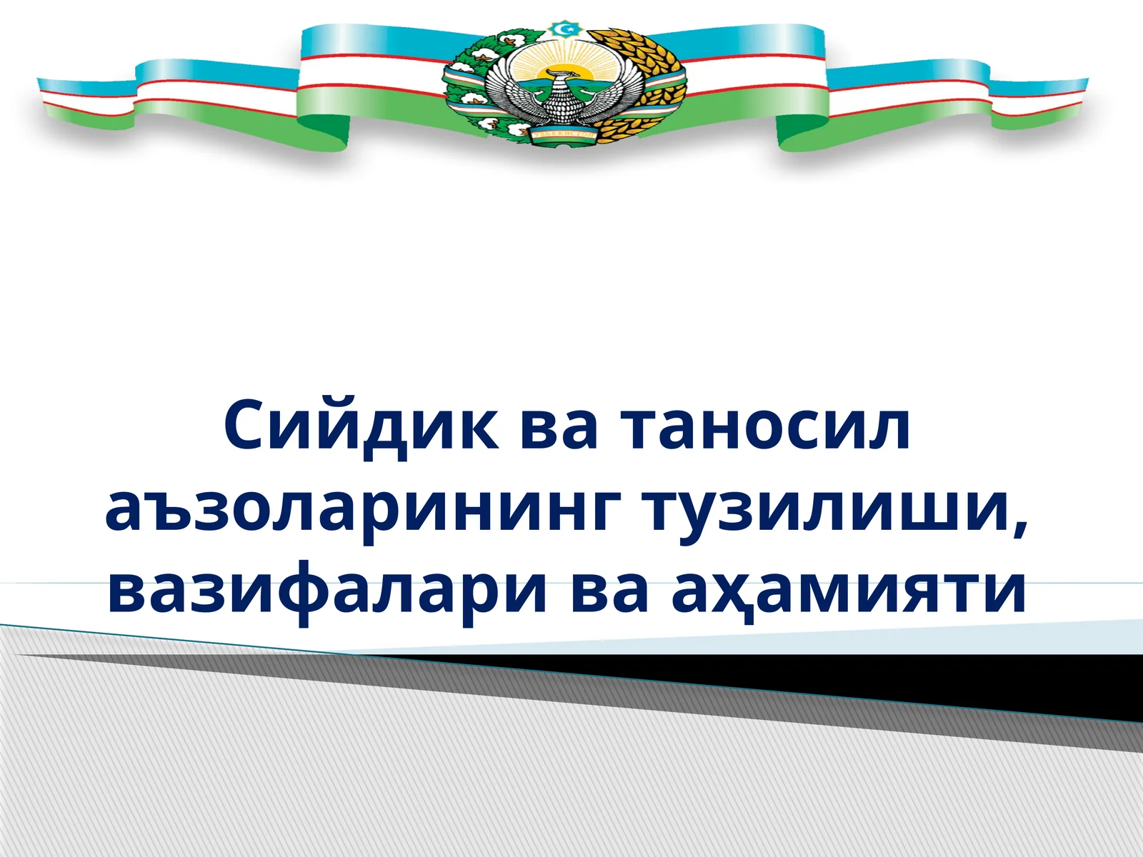 Сийдик ва таносил аъзоларининг тузилиши, вазифалари ва аҳамияти