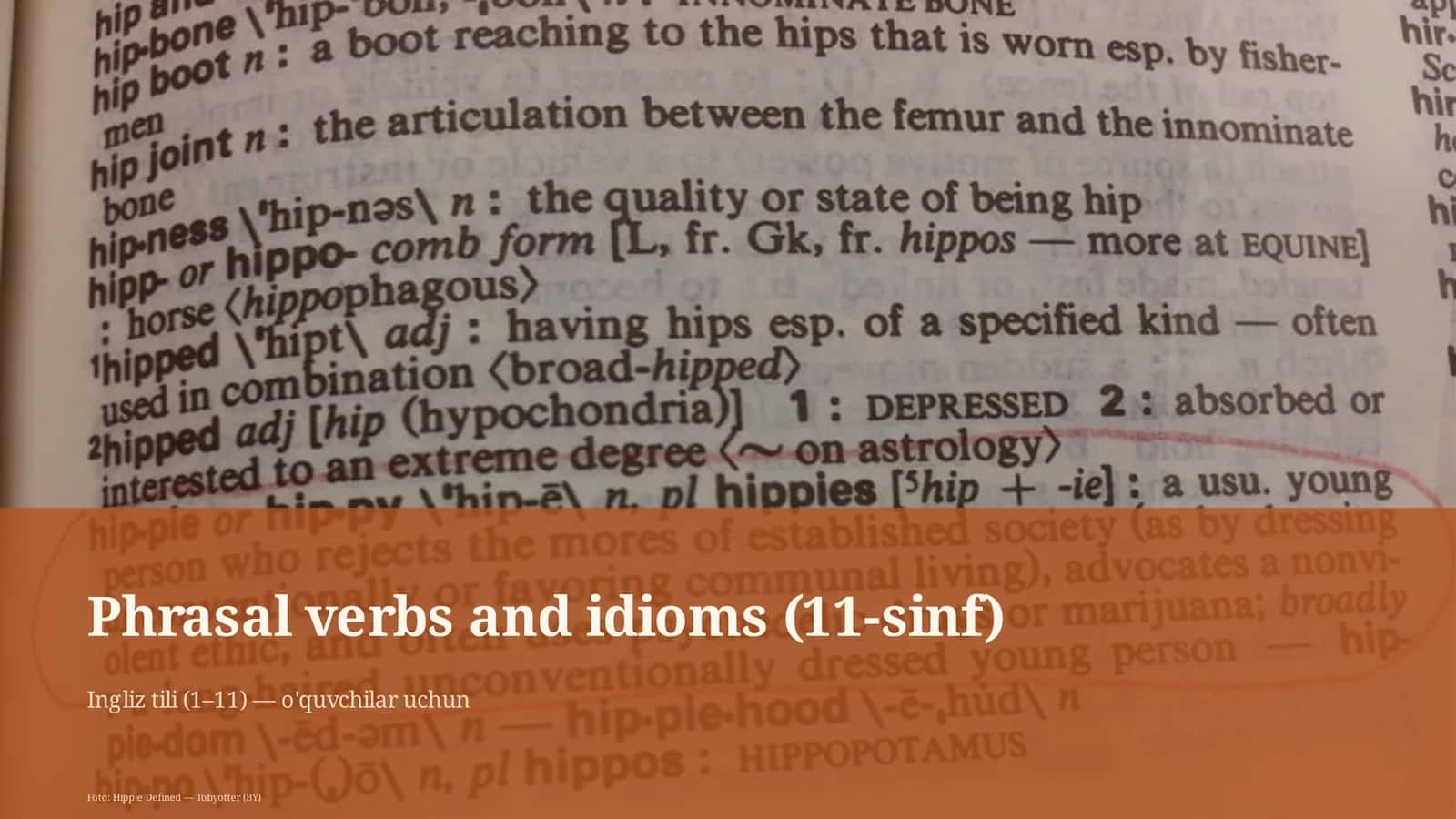 Phrasal verbs and idioms (11-sinf)