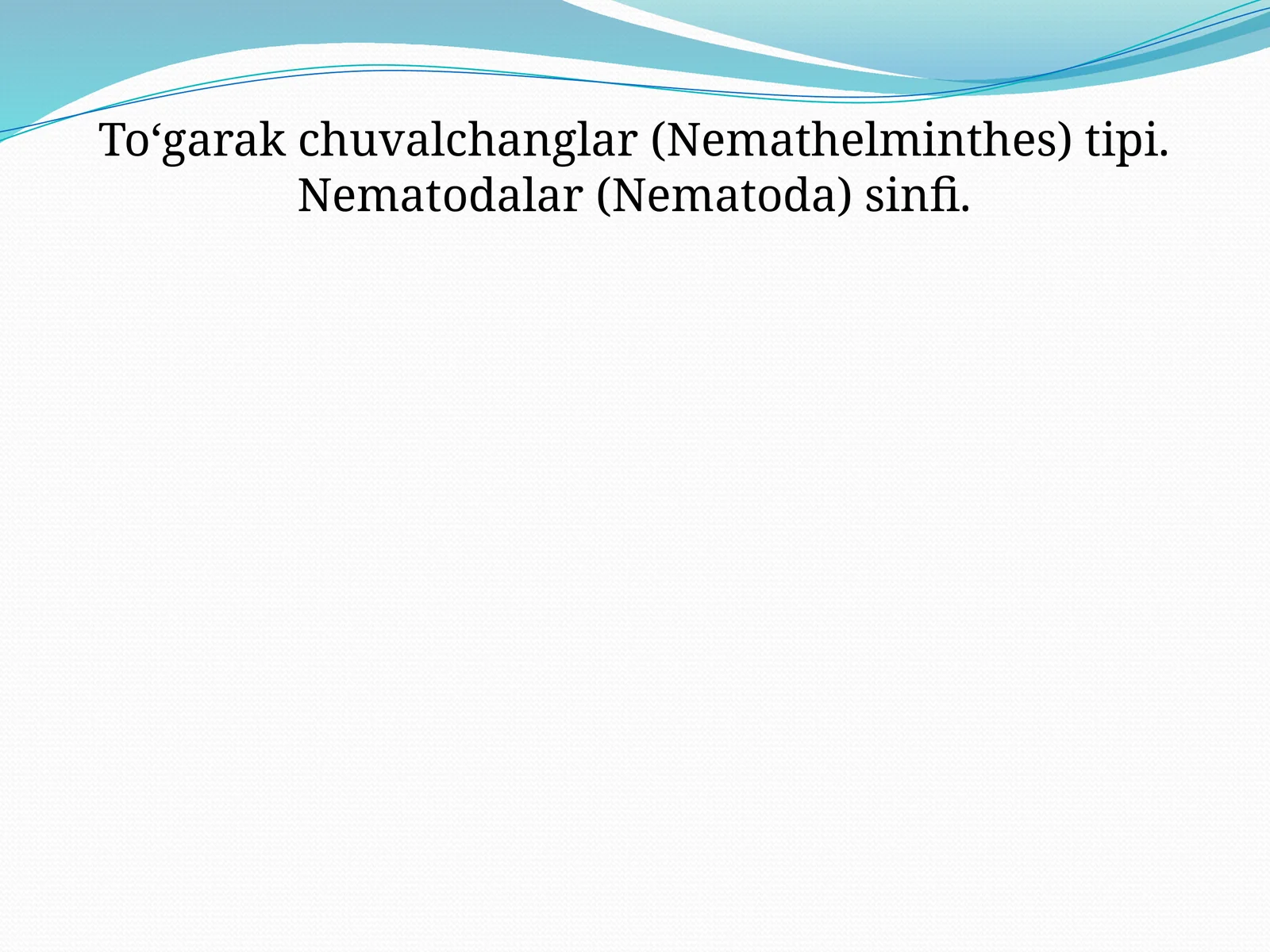 To‘garak chuvalchanglartipining umumiy tavsifi va sistematikasi