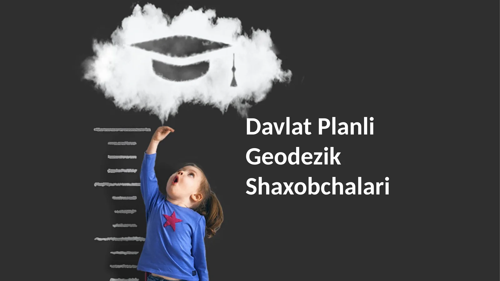 Davlat Planli Geodezik Shaxobchalari