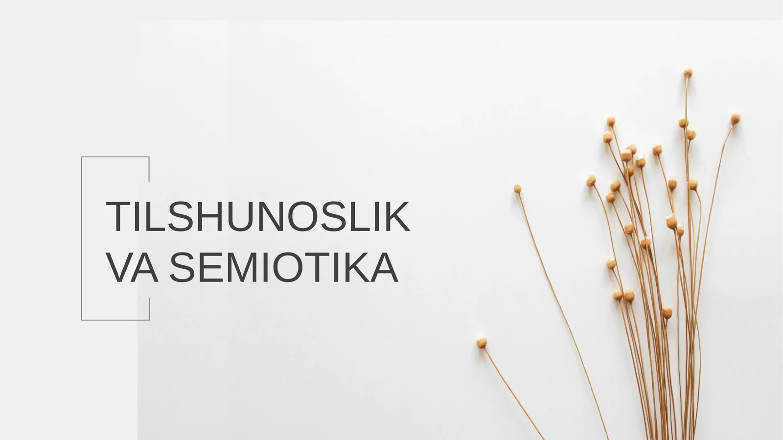 Tilshunoslik va Semiotika