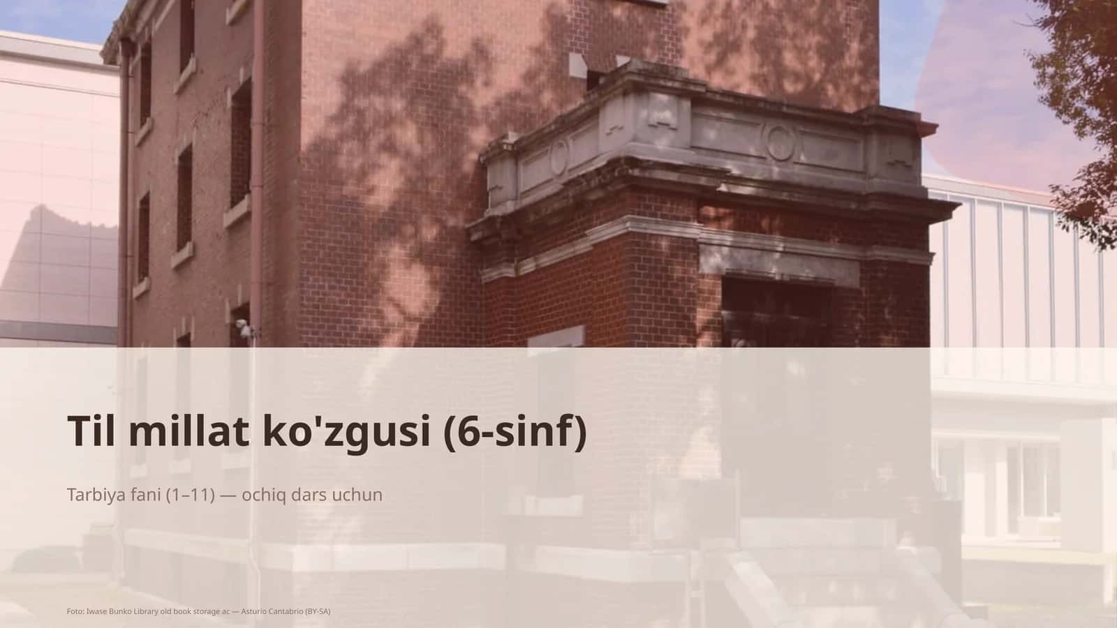 Til millat ko'zgusi (6-sinf)