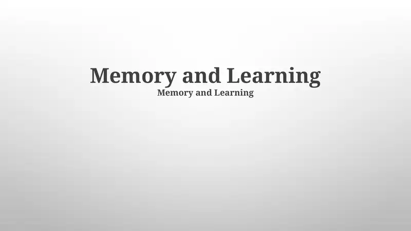 Memory Improvement Techniques