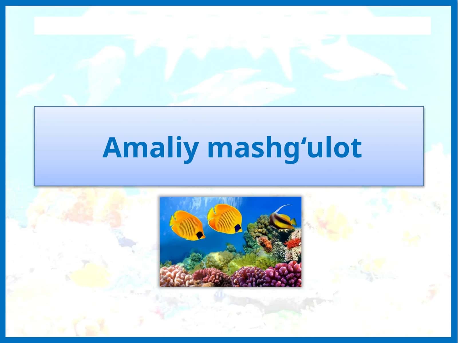 Amaliy mashg‘ulot