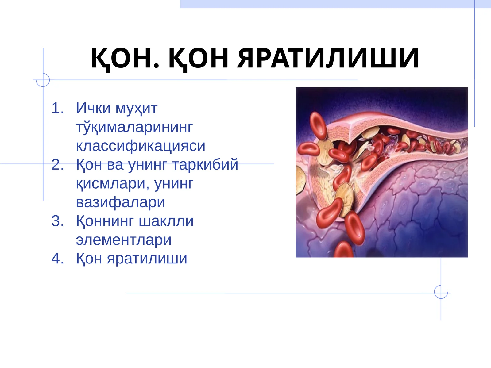 ҚОН. ҚОН ЯРАТИЛИШИ