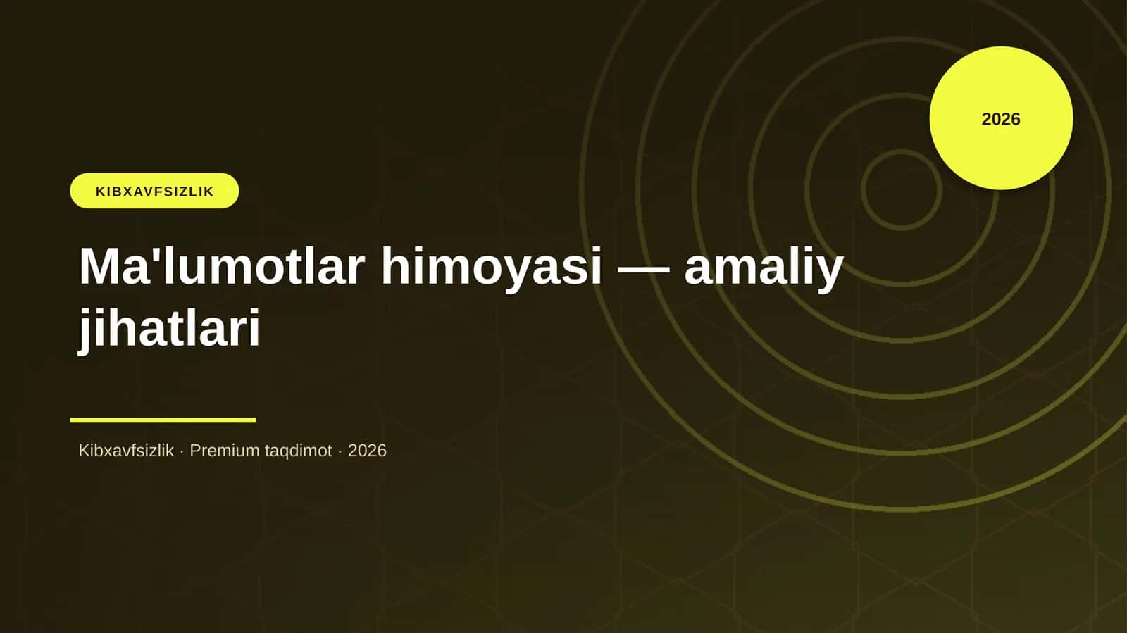 Ma'lumotlar himoyasi — amaliy jihatlari