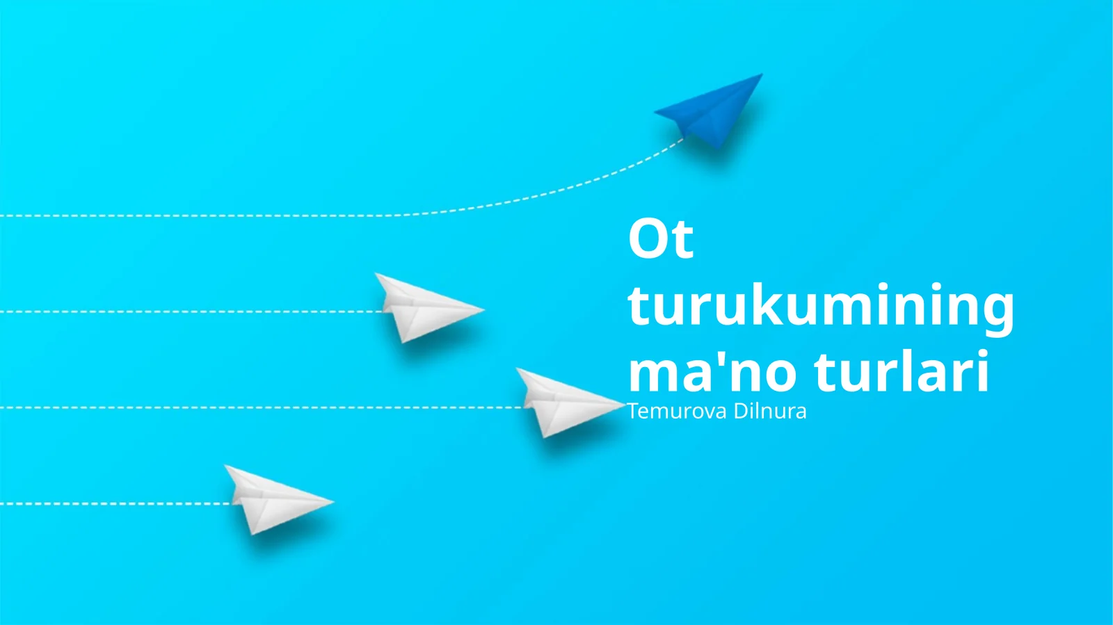 Ot turukumining ma'no turlari