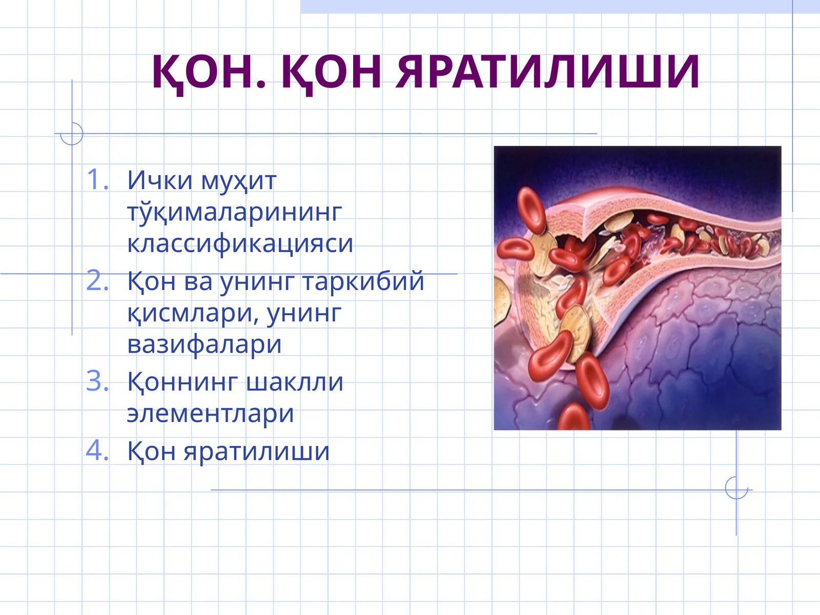 ҚОН. ҚОН ЯРАТИЛИШИ