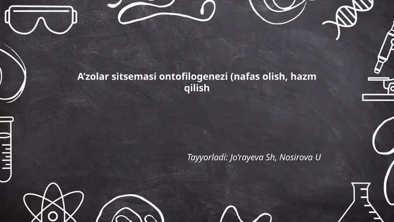 A’zolar sitsemasi ontofilogenezi
