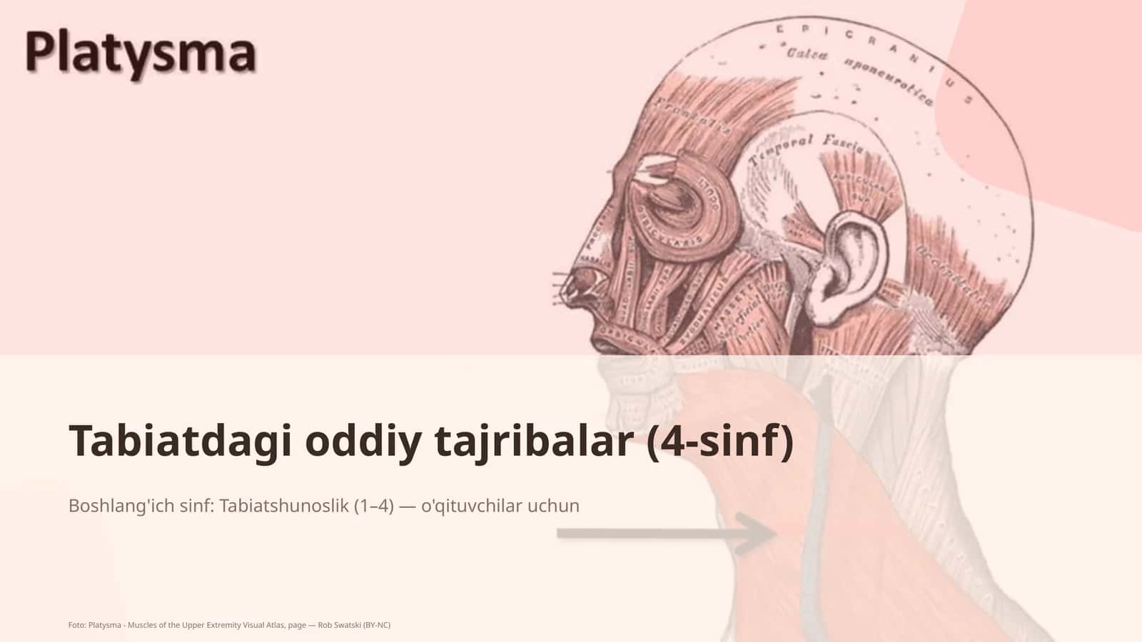 Tabiatdagi oddiy tajribalar (4-sinf)