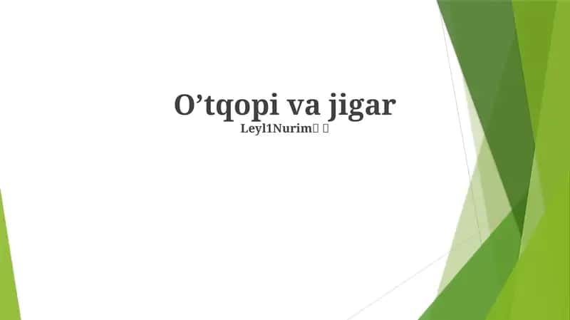 O'tqopi va jigar