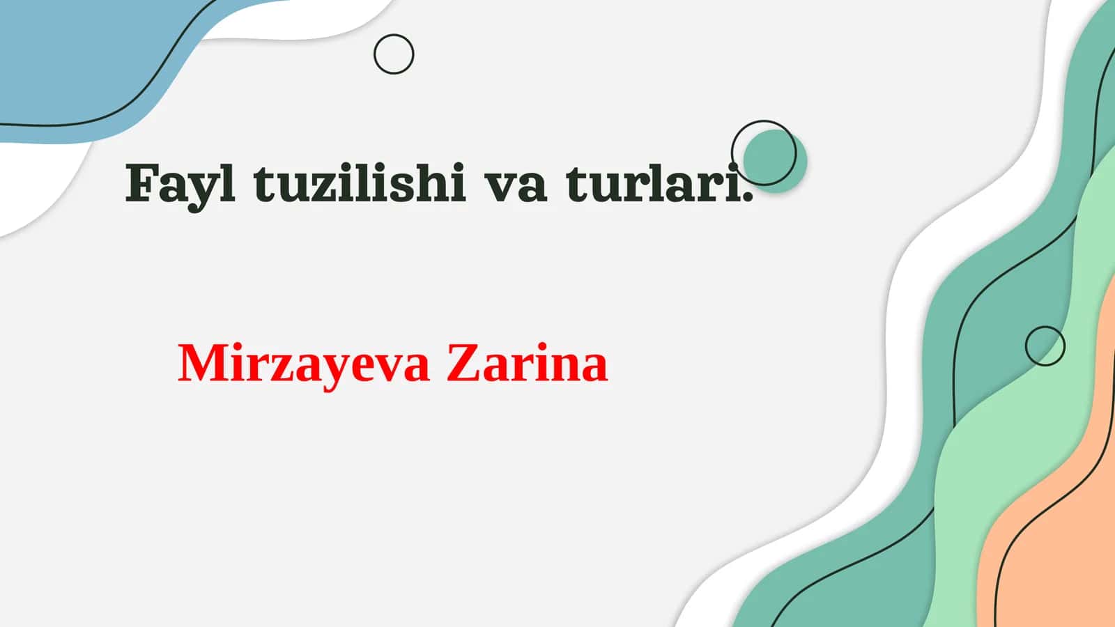 Fayl Tuzilishi va Turlari