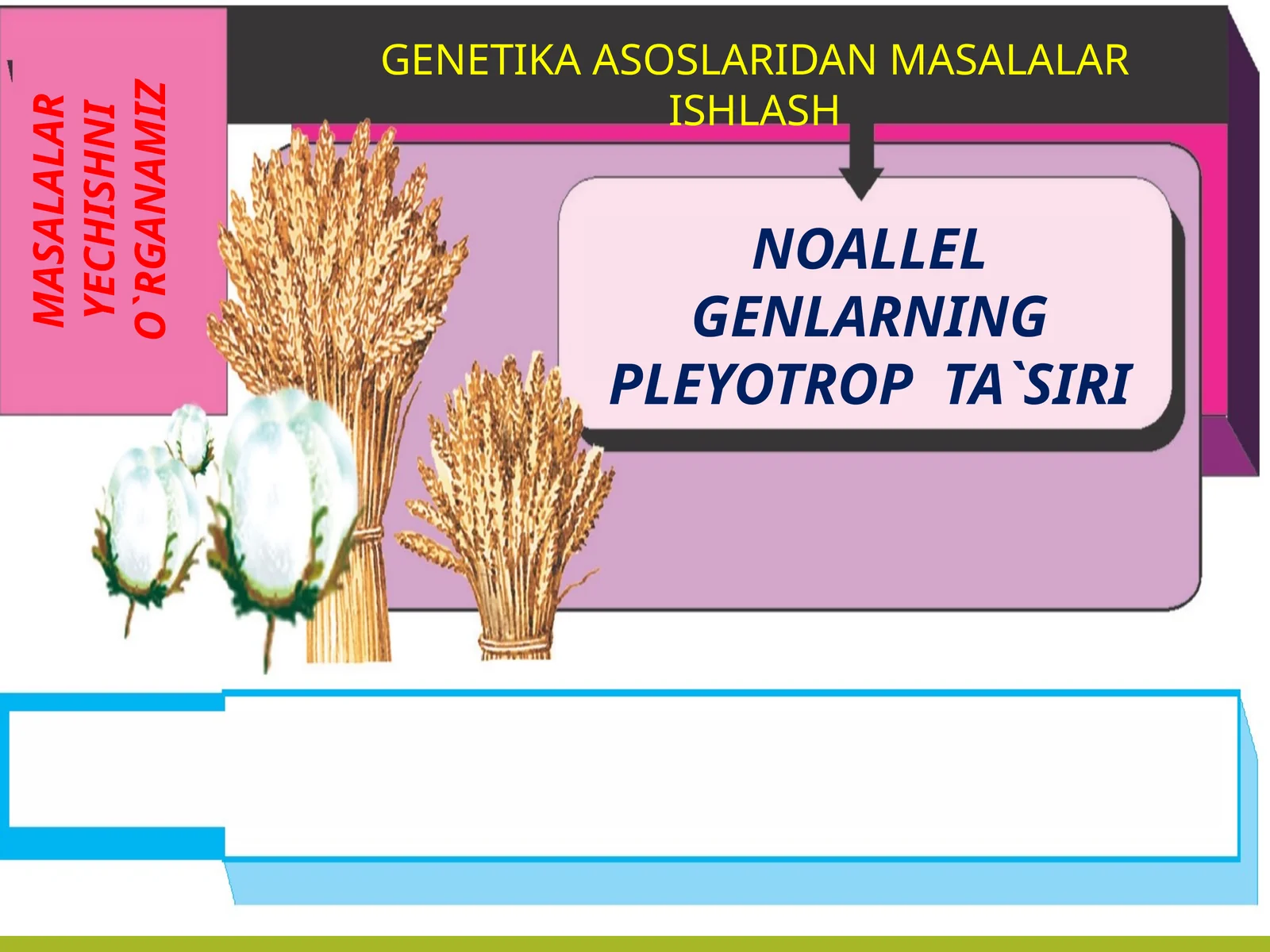 NOALLEL GENLARNING PLEYOTROP TA`SIRI