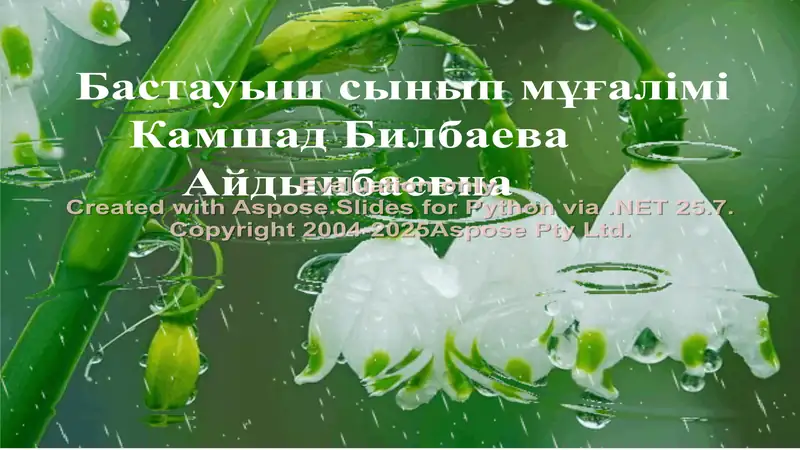 Бастауыш сынып мұғалімі