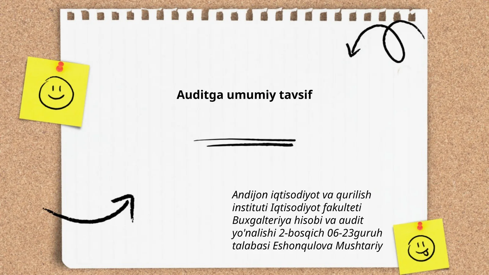 Auditga umumiy tavsif
