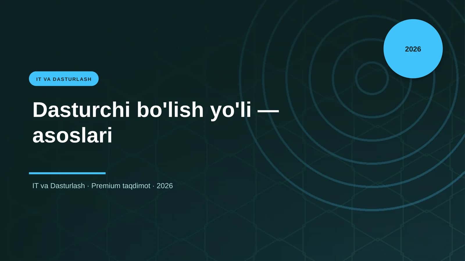 Dasturchi bo'lish yo'li — asoslari