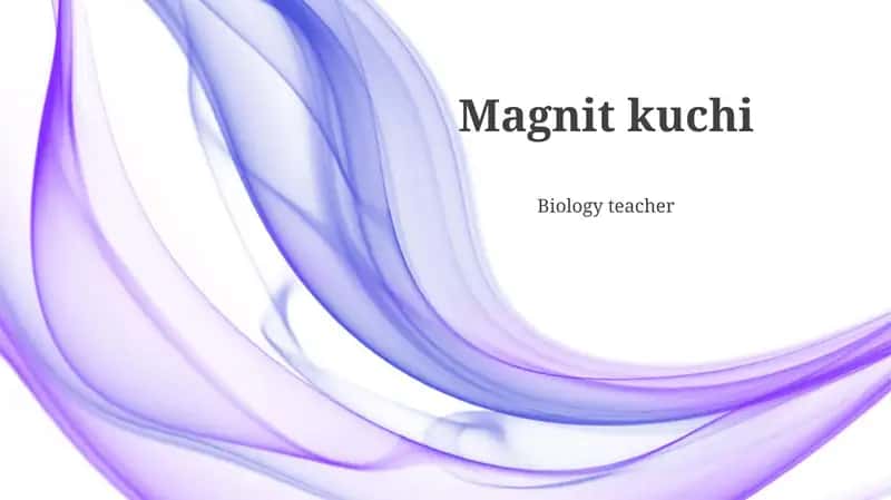 Magnit kuchi