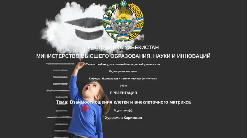 Презентация
