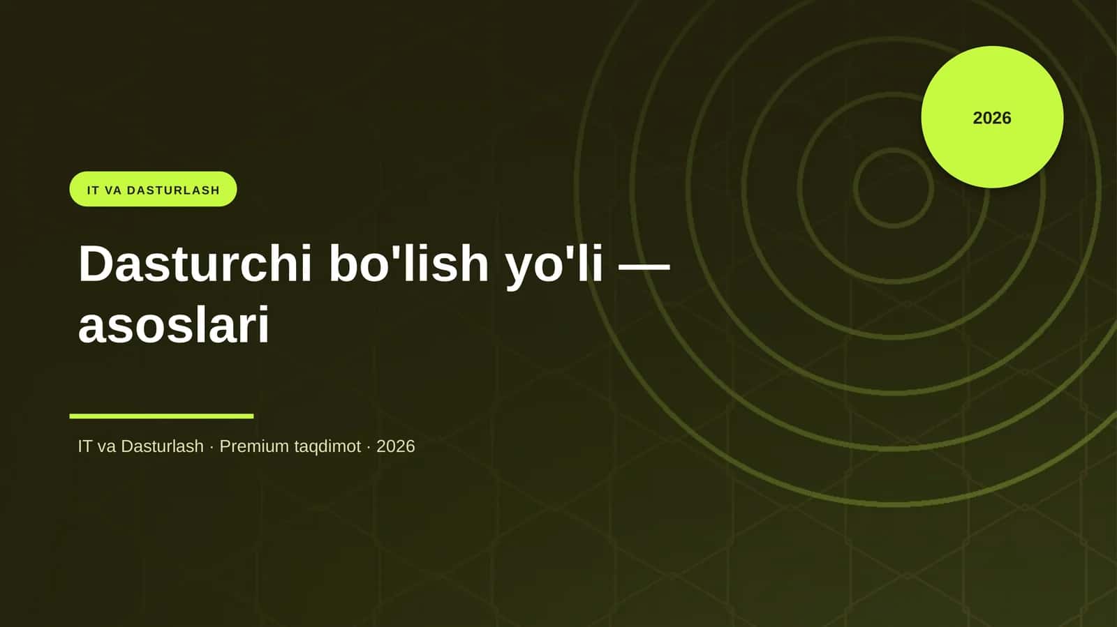 Dasturchi bo'lish yo'li — asoslari