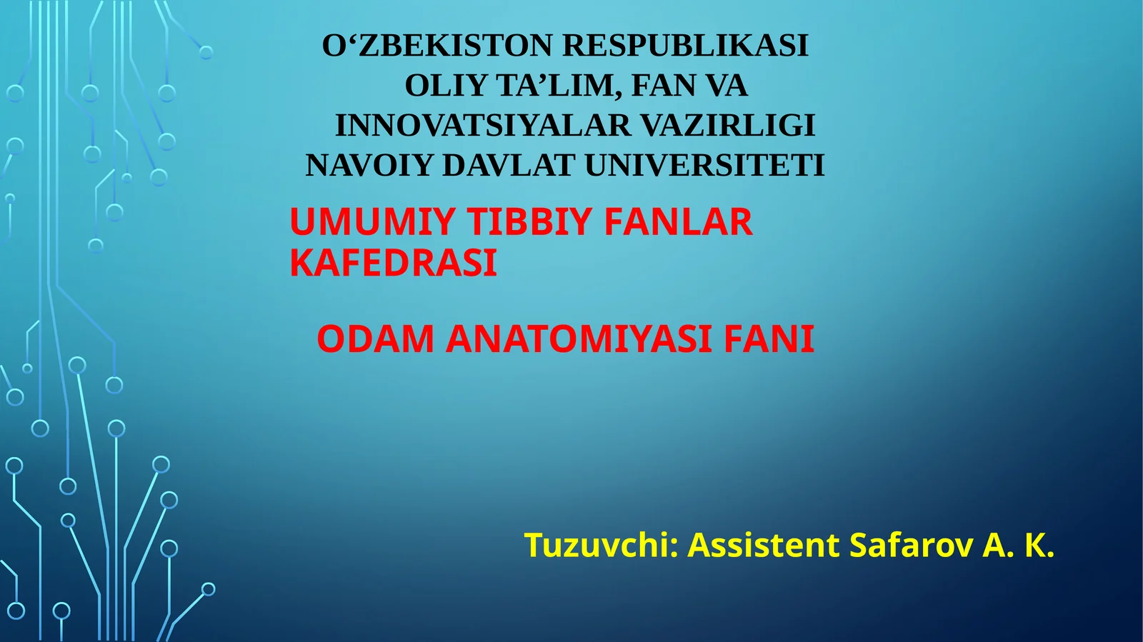 Siydik a’zolari. Siydik a’zolari funksional anatomiyasi