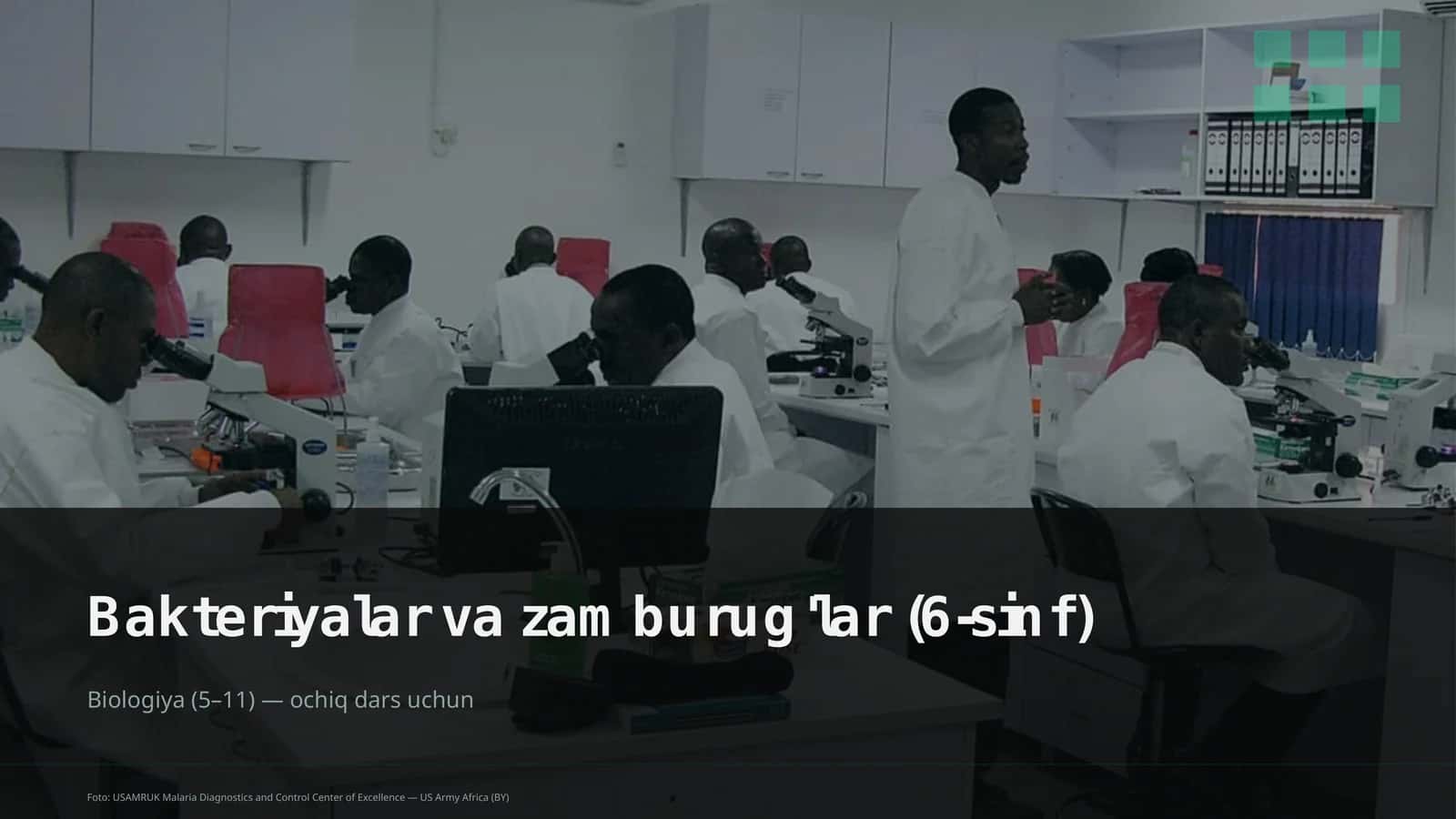 Bakteriyalar va zamburug'lar (6-sinf)