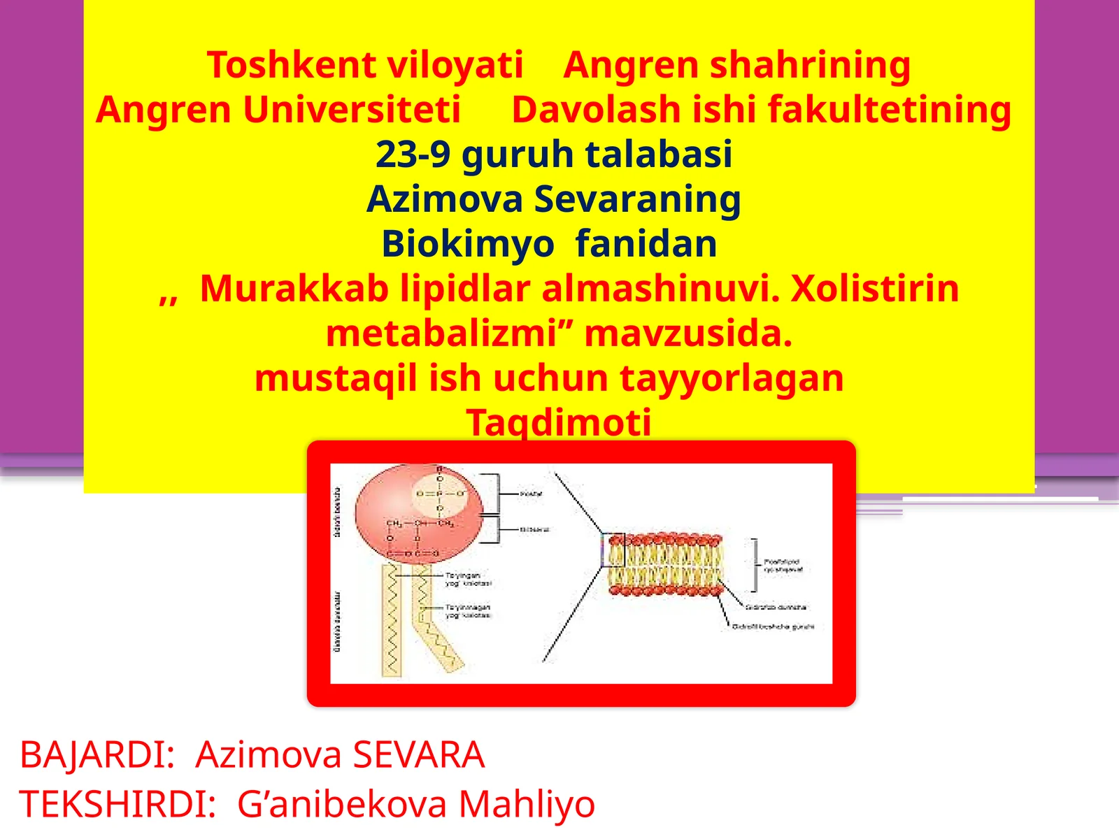 Murakkab lipidlar alamshinuvi. Xolistirin metabolizmi