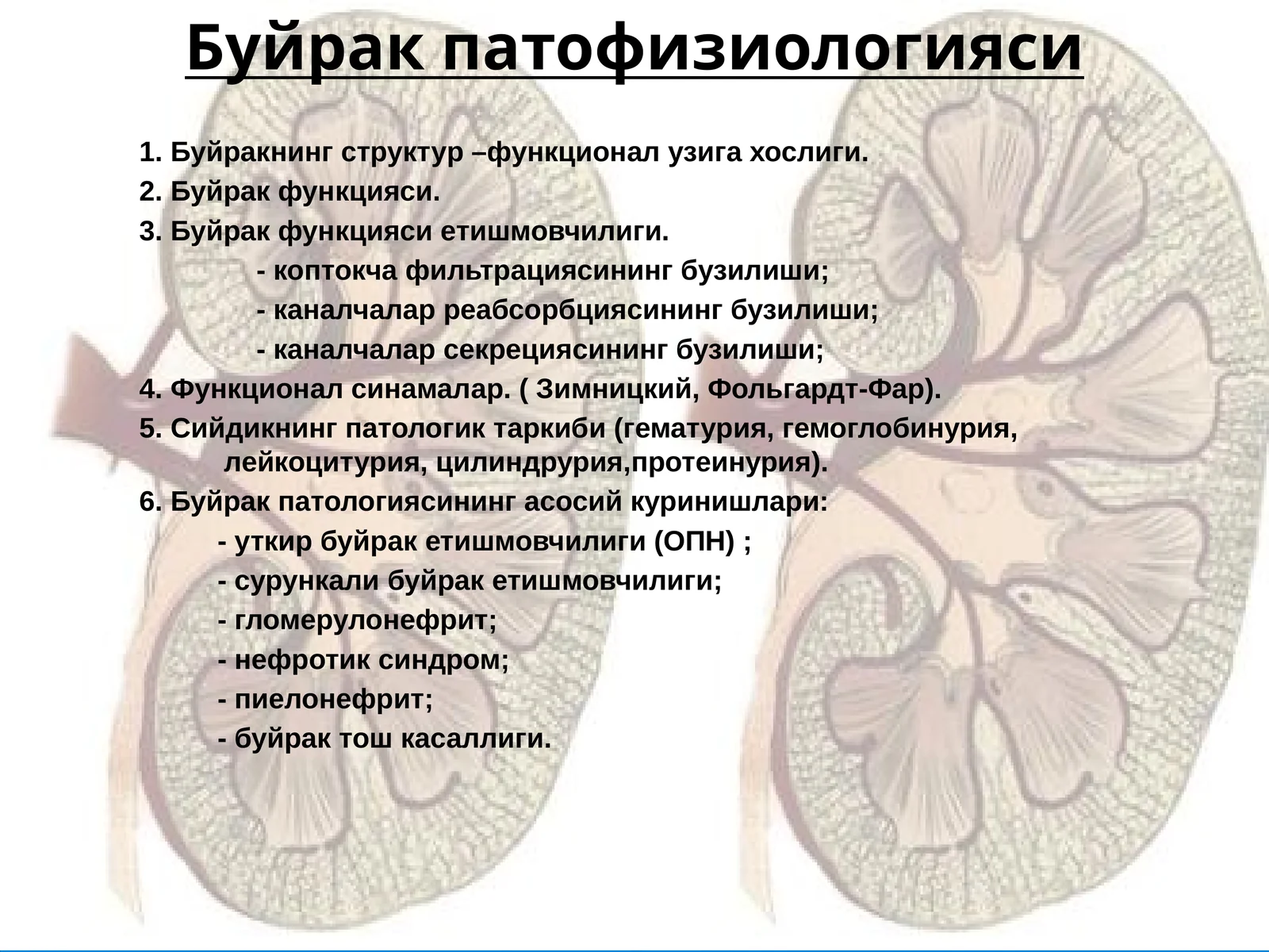 Буйрак патофизиологияси