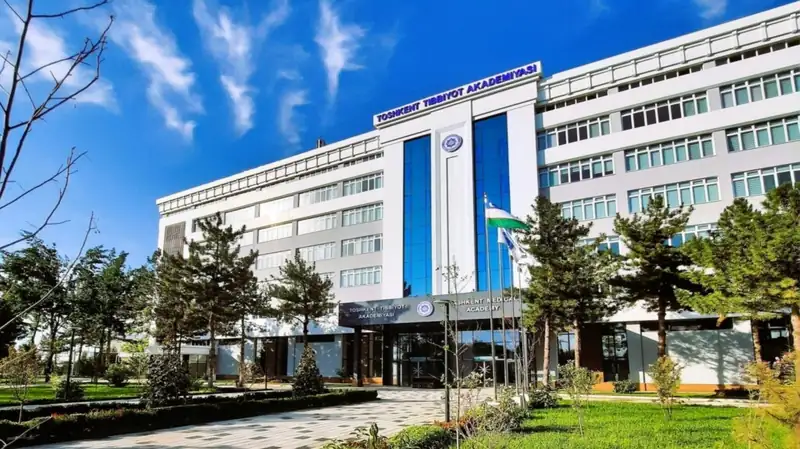 Video montaj dasturlari