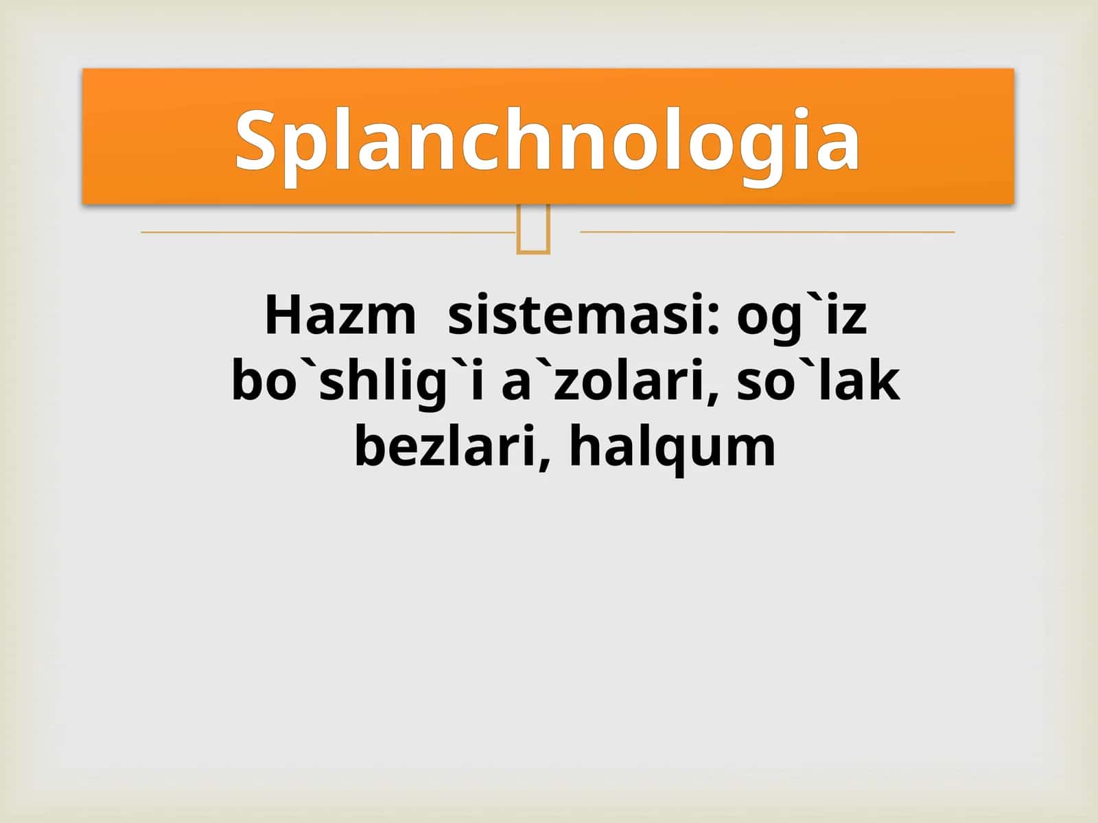 Hazm  sistemasi: og`iz bo`shlig`i a`zolari, so`lak bezlari, halqum/Splanchnologia