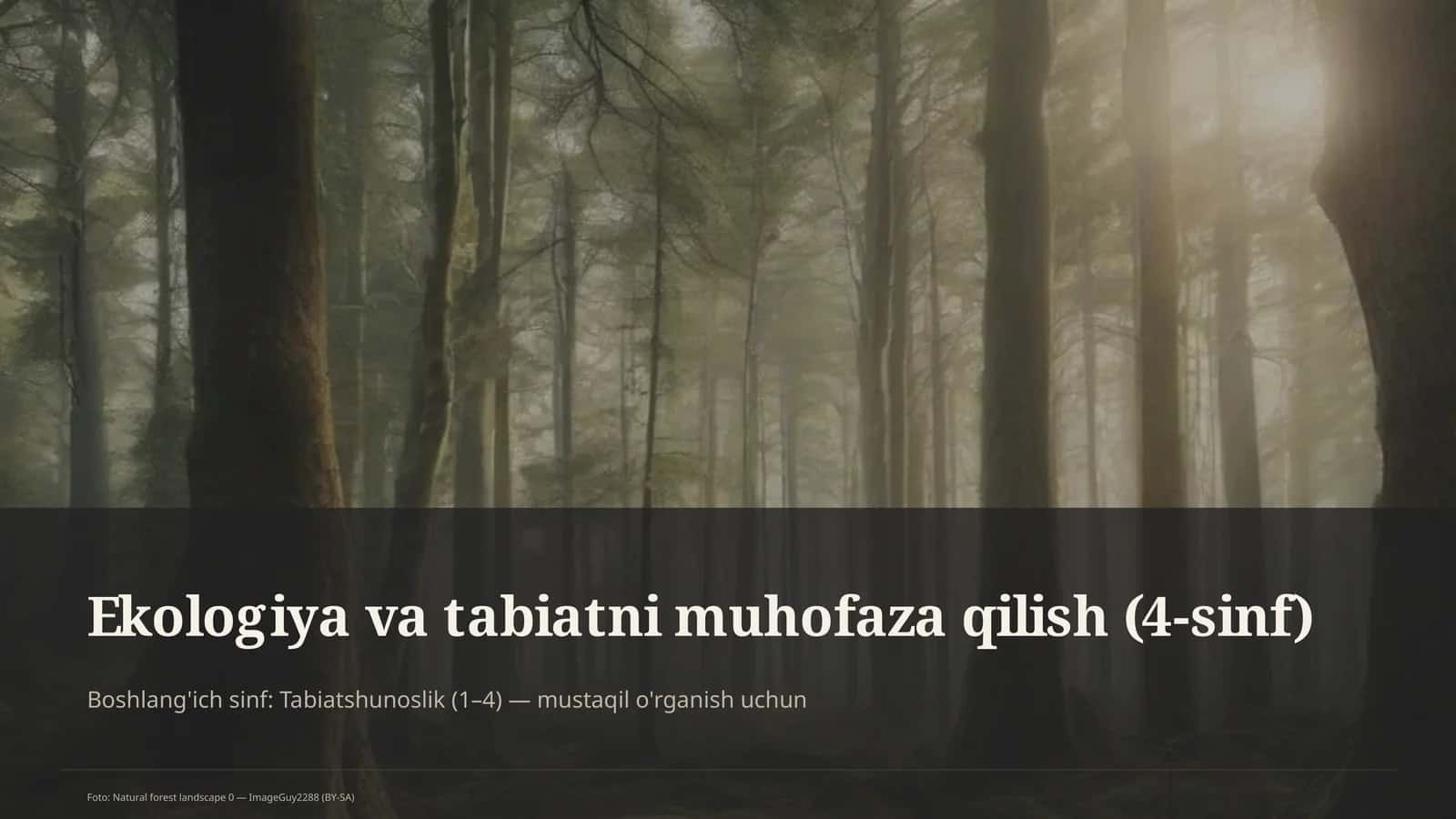 Ekologiya va tabiatni muhofaza qilish (4-sinf)
