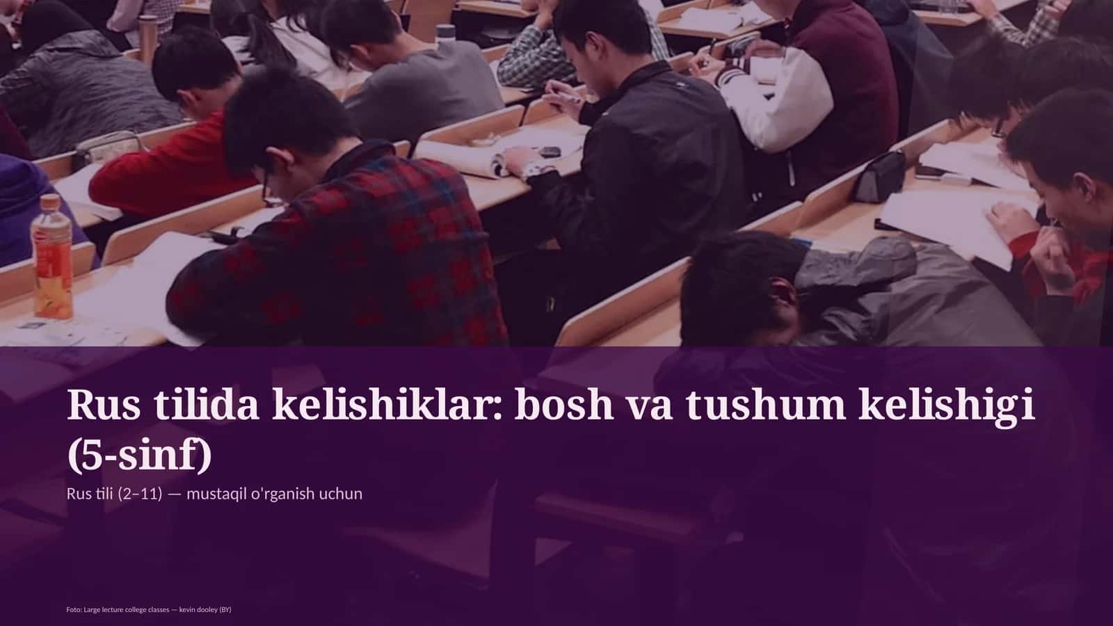 Rus tilida kelishiklar: bosh va tushum kelishigi (5-sinf)