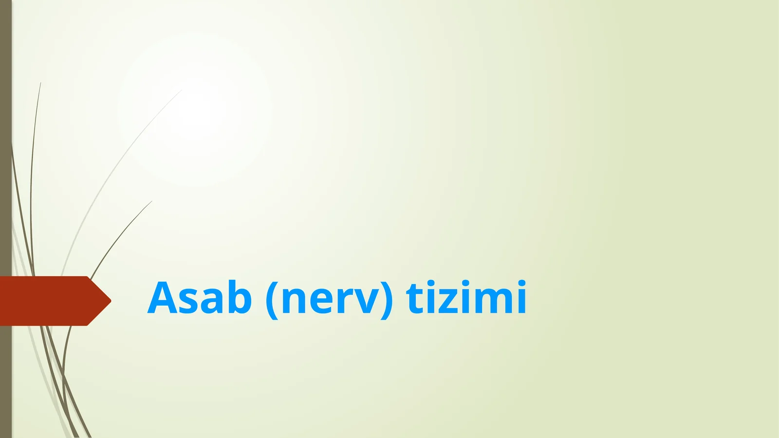 Asab(nerv)tizimi