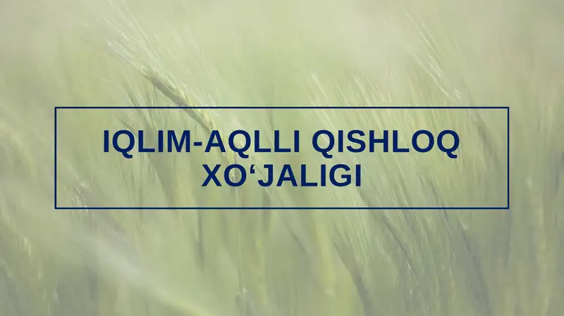 Iqlim-aqlli qishloq xo‘jaligi