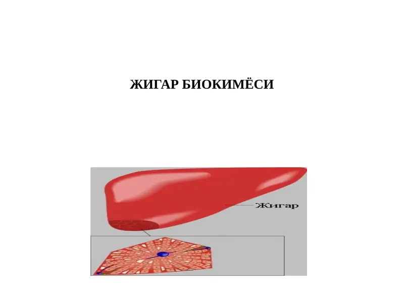 Жигар Биохимия