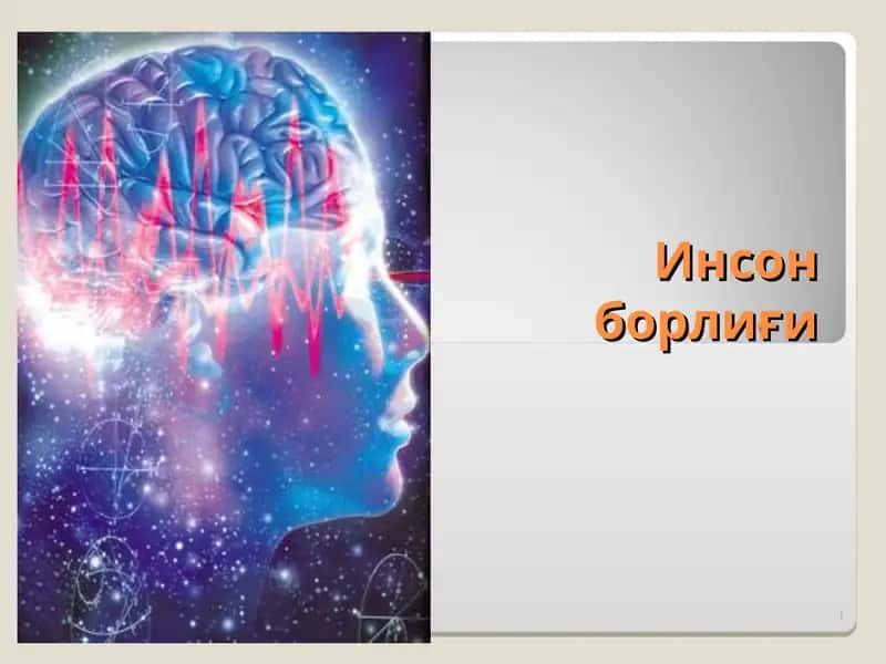 Инсон борлиғи